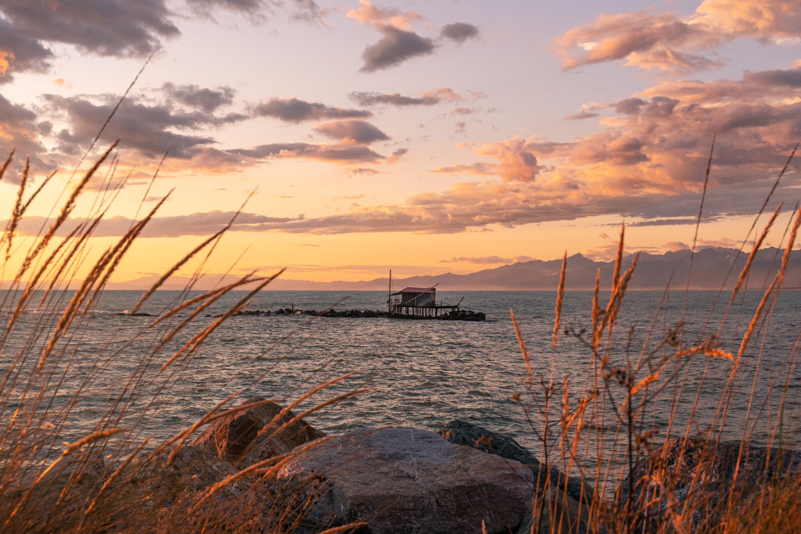 Tramonto sul mare a Marina di Pisa, con i retoni sugli scogli sullo sfondo e le erbe costiere illuminate dalla luce dorata.