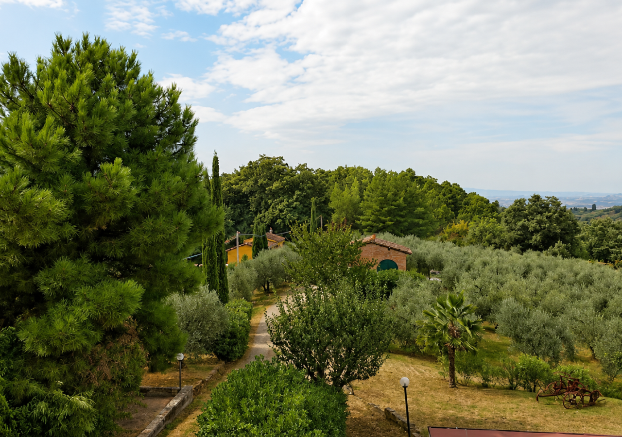 Veduta panoramica di una tenuta immersa nel verde, con uliveti, alberi ad alto fusto e piccoli edifici rustici tra i sentieri, sotto un cielo chiaro con nuvole leggere.